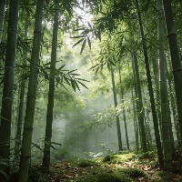 李*婷